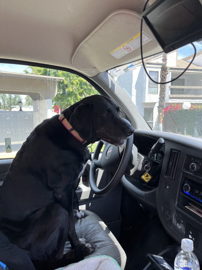 Costa, the one who is TRULY in the driver's seat. :)